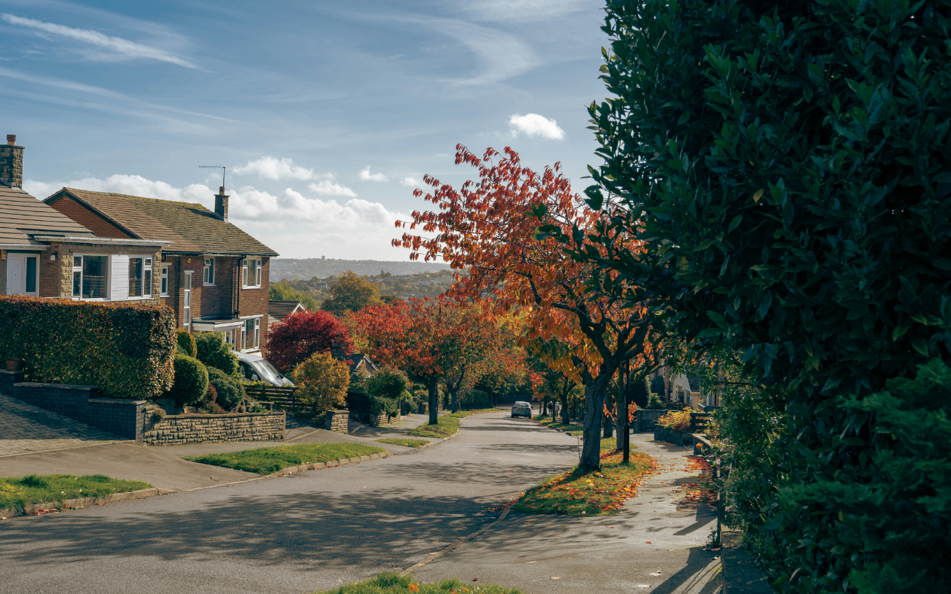 A street with trees and housesDescription automatically generated