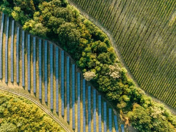 10 Natural Landscapes That Take Your Breath Away, natural landscapes, nature, forest, landscape, breathtaking views, awe-inspiring beauty