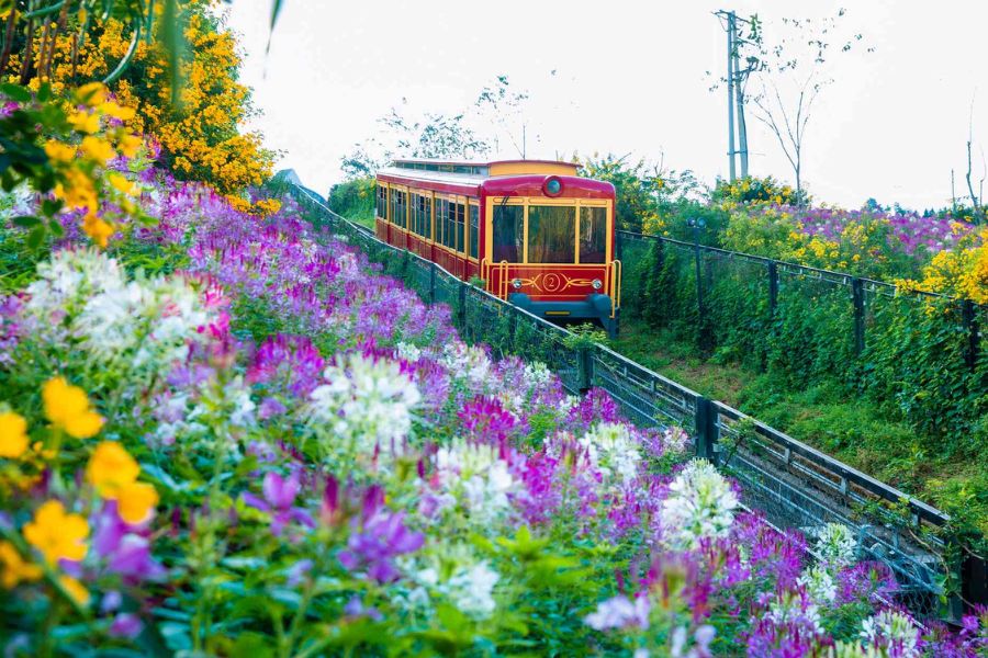 Muong Hoa Valley has its own unique beauty in all four seasons