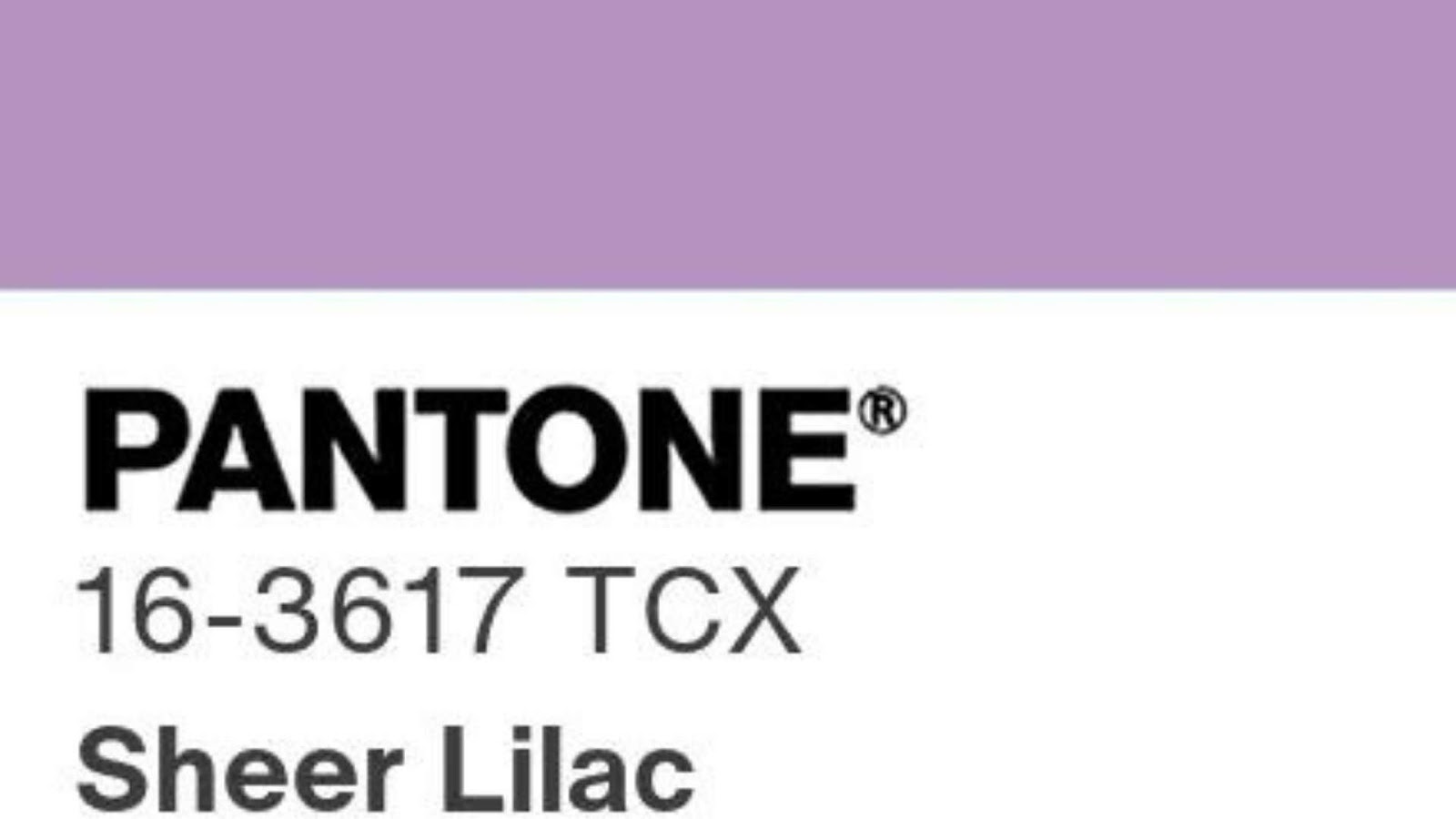 fevereiro pantone