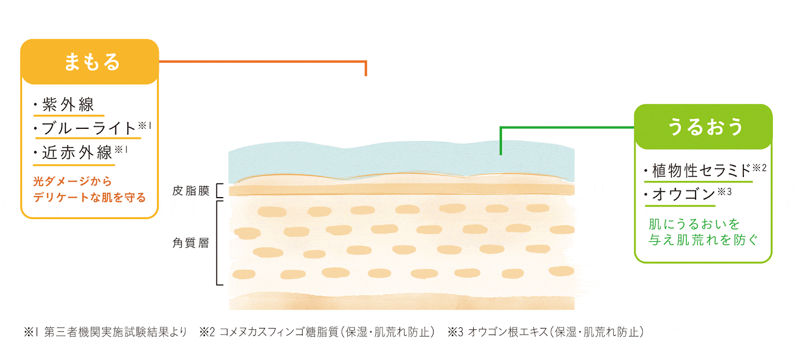 20代後半からは365日UVケア
