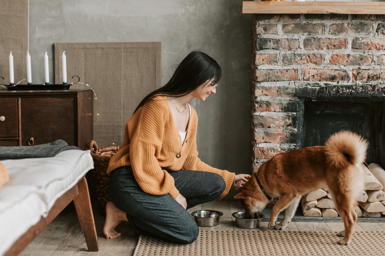 Woman Feeding Dog in Living Room