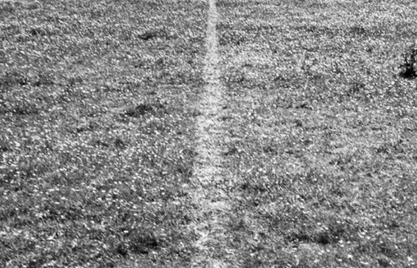 Một nghệ sĩ người Mỹ Richard Long đã thể hiện tác phẩm Vị Niệm có tên "A Line Made By Walking 1967"