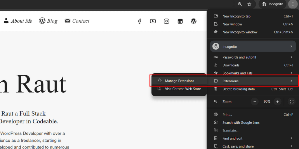 extensions in chrome