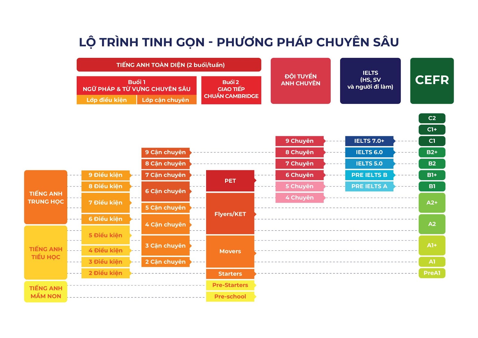 Lộ trình học tại Amslink được thiết kế tinh gọn và chuyên sâu