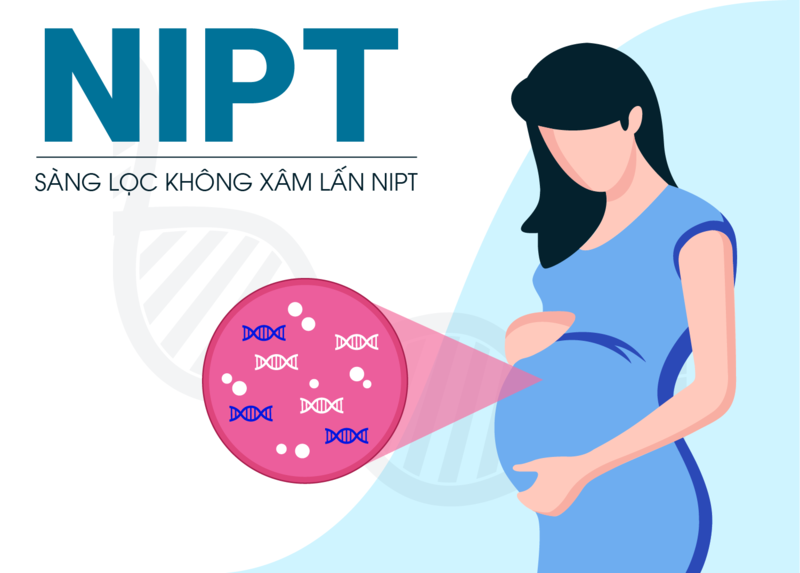 NIPT là gì và có vai trò gì trong thai kỳ?