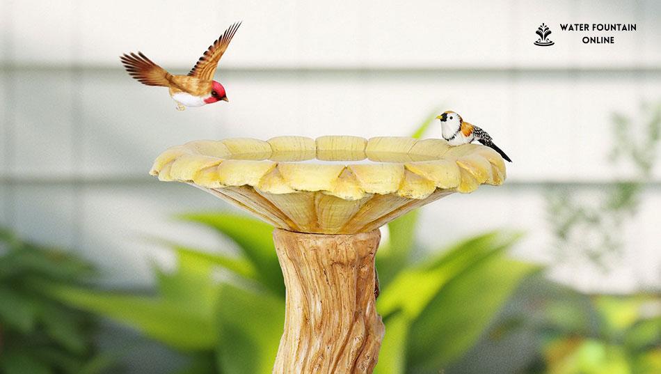 https://gp.flyingfishseo.com/wp-content/uploads/2024/11/2-2.jpg