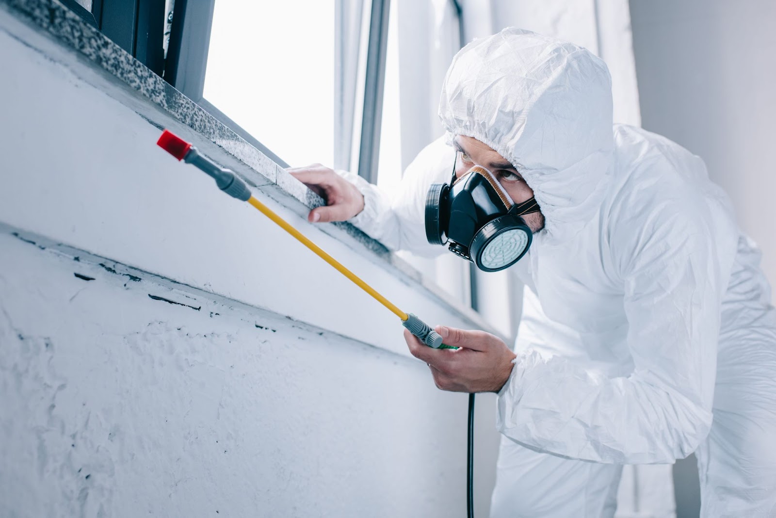 Professional pest control technician in protective gear applying pest treatment under a window frame.