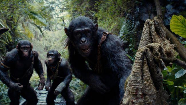 2.KINGDOM OF THE PLANET OF THE APES 2