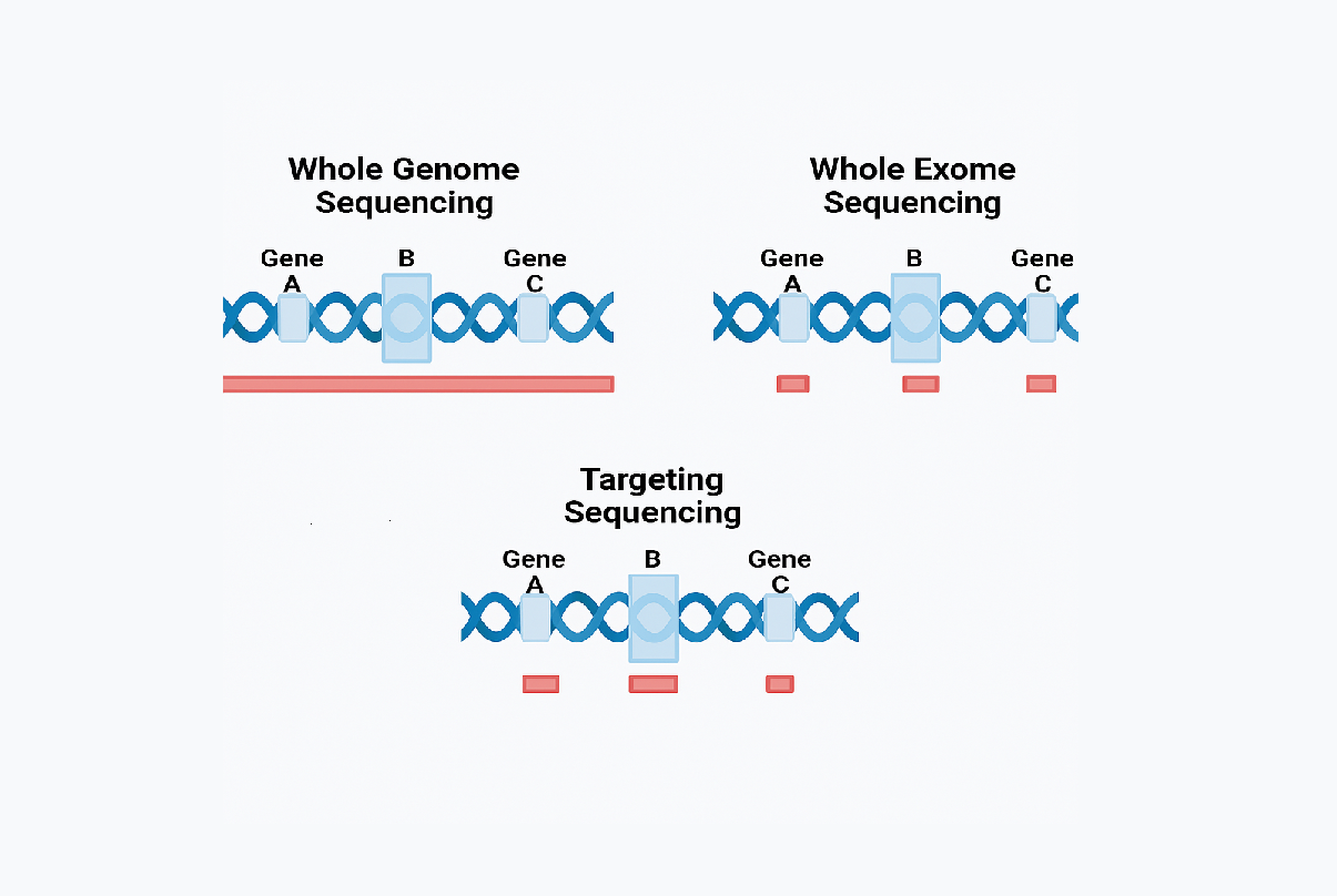 Comparative Analysis of WGS and WES