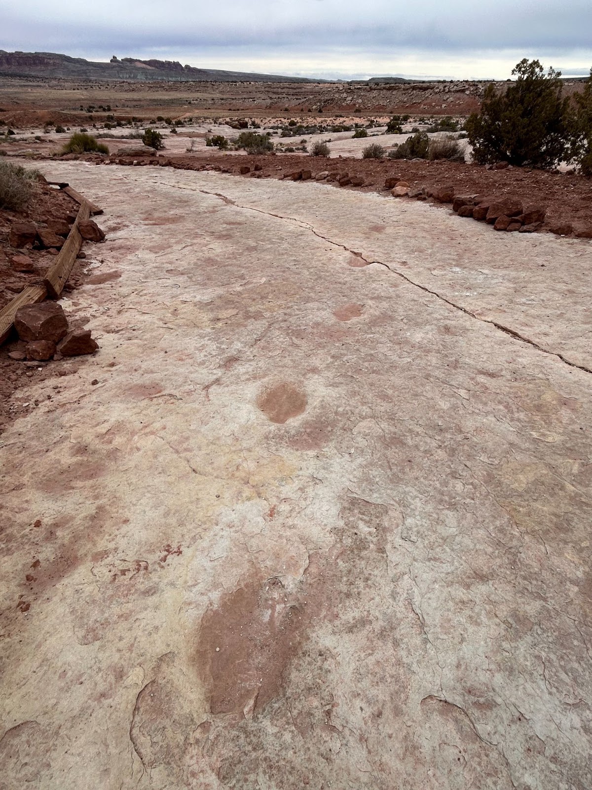 Willow Springs dinosaur track site photo shows long string of 10 visible three-toed dinosaur tracks, preserved in sandstone. View of Arches park is in the background.