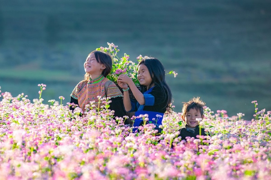 The Ha Giang Buckwheat Flower Festival is an annual event