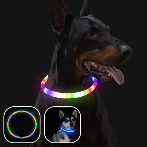 Collier-lumineux-chien-mode clignotant