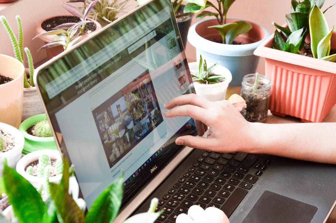 How Can You Choose Online IT Courses Built for Success?
