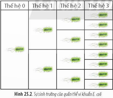 BÀI 25 - SINH TRƯỞNG VÀ SINH SẢN Ở VI SINH VẬT