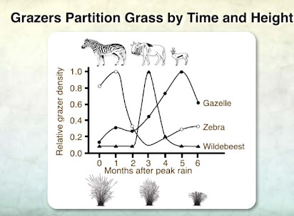 Niche Partition Graphic