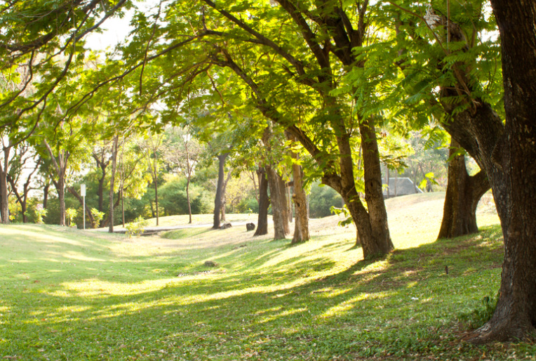 Parks in Glasgow in Southside