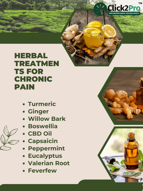 Herbal treatments for chronic pain infographic featuring turmeric, ginger, CBD oil, and more remedies