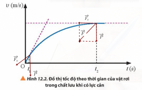 BÀI 12 CHUYỂN ĐỘNG CỦA VẬT TRONG CHẤT LƯUMở rộng: Trong thực tế, mọi vật rơi luôn chịu lực cản của không khí. Với vật nặng kích thước nhỏ (ví dụ viên bi thép), lực cản này có độ lớn không đáng kể và có thể bỏ qua. Nhưng với các vật kích thước lớn (ví dụ dù lượn), lực cản của không khí có độ lớn đáng kể. Khi này, chuyển động của vật rơi có những tính chất gì?Đáp án chuẩn: Khi lực cản của không khí có độ lớn đáng kể thì vận tốc của vật rơi bị giảm, vật rơi chậm lại.1. Chuyển động rơi của vậtCâu 1: Dựa vào đồ thị Hình 12.2, phân tích tính chất chuyển động của vật trong những khoảng thời gian: từ 0 – t1, t1 – t2 và từ thời điểm t2 trở đi.Đáp án chuẩn: Khoảng thời gian từ 0- t1 : chuyển động nhanh dần đềuKhoảng thời gian từ t1-t2 : chuyển động nhanh dần không đềuKhoảng thời gian từ t2 trở đi : chuyển động đều với tốc độ giới hạn không đổi.Câu 2: Quan sát hình 12.1 vẽ vectơ lực cản của dầu tác dụng lên viên bi và mô tả chuyển động của viên bi khi được thả không vận tốc đầu vào dầuĐáp án chuẩn:  Mô tả:+ Ở ngoài không khí, thả không vận tốc đầu, viên bi chuyển động thẳng nhanh dần đều.+ Di vào trong dầu, viên bi chuyển động chậm lại, và chuyển động đềuCâu 3: Quan sát Hình 12.3, mô tả chuyển động của vận động viên nhảy dù từ khi bắt đầu nhảy khỏi máy bay đến khi chạm đất. Phân tích lực tác dụng lên dù trong từng giai đoạn chuyển động.Đáp án chuẩn: + Ban đầu mới nhảy khỏi máy bay, khi chưa bung dù, trọng lực lớn hơn lực cản của không khí nên vận động viên sẽ rơi nhanh dần+ Sau khi chuyển động ổn định thì vận động viên bắt đầu bung dù, lực cản của không khí bằng trọng lực nên chuyển động của vận động viên đều và đáp xuống đất.Câu 4: Tìm hiểu một số biện pháp thực tiễn giúp giảm lực cản của nước lên cơ thể khi chúng ta bơi.Đáp án chuẩn: + Giữ thăng bằng cơ thể khi bơi+ Đội mũ bơi và kính bơi, giảm ma sát này bằng silicone.+ Giữ các ngón chân về phía sau để giảm lực cản.2.Sự phụ thuộc của lực cản không khí vào hình dạng vật