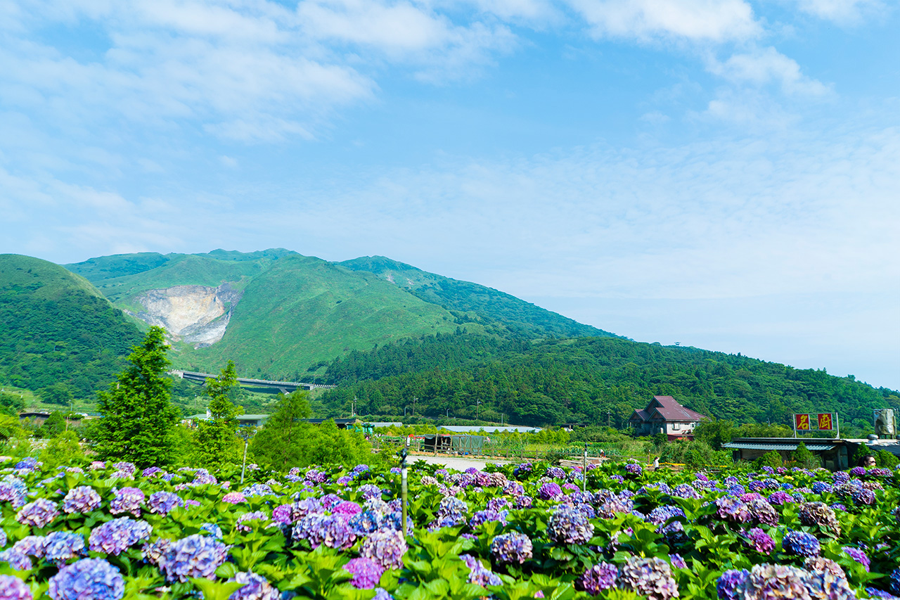 Yangmingshan National Park