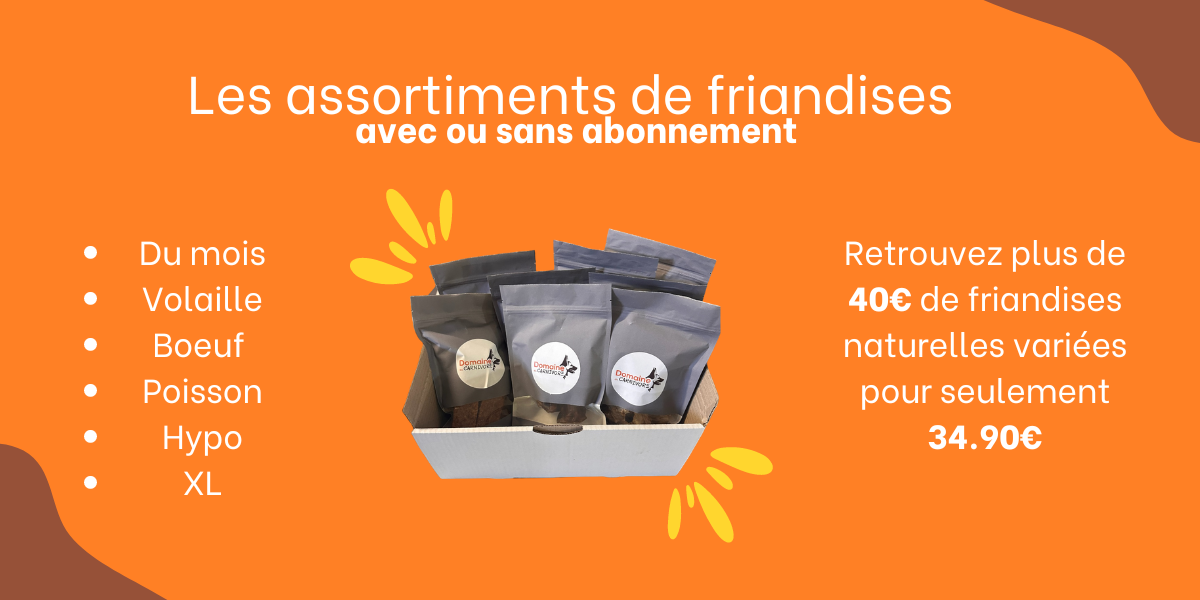 Assortiment de friandise - box chien