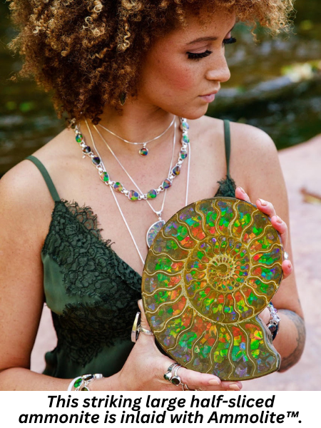 This striking large half-sliced ammonite is inlaid with ammolite.