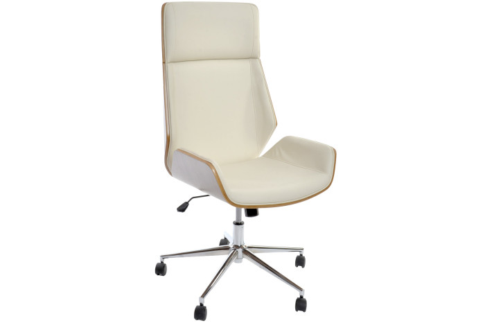 Ergonomic Chairs