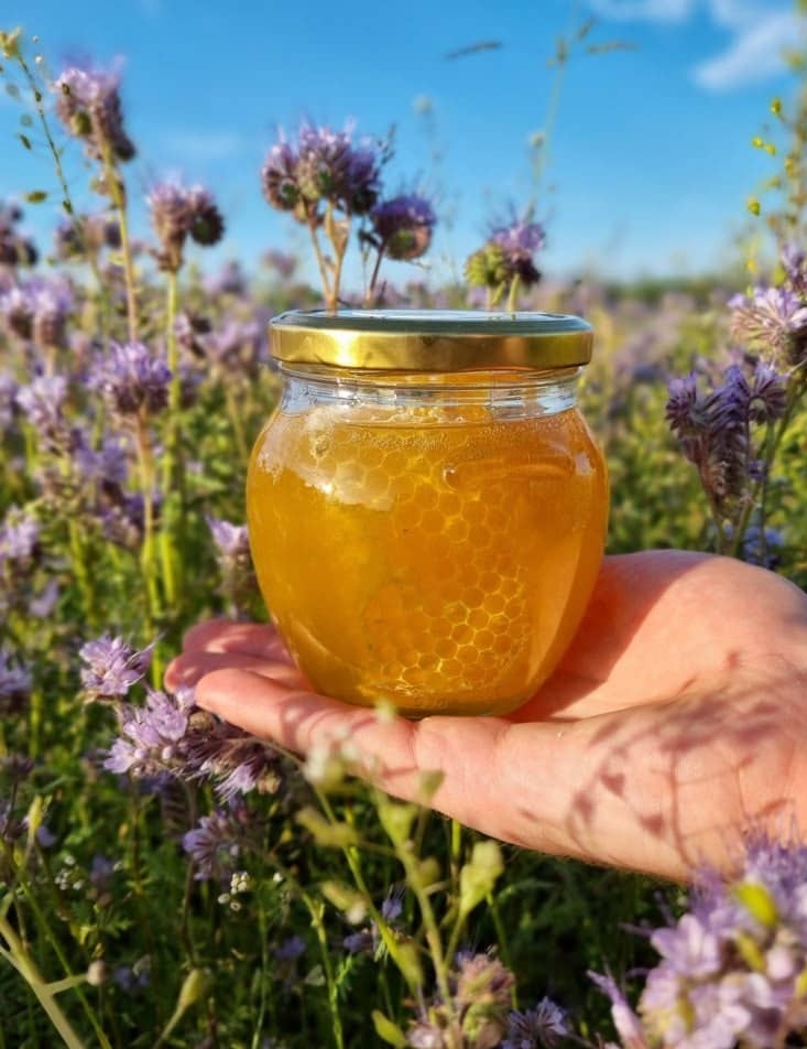 عسل یونجه خالص