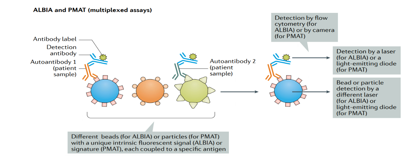 A diagram of a virus

Description automatically generated