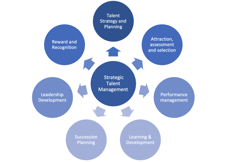 A diagram of a strategic talent management Description automatically generated