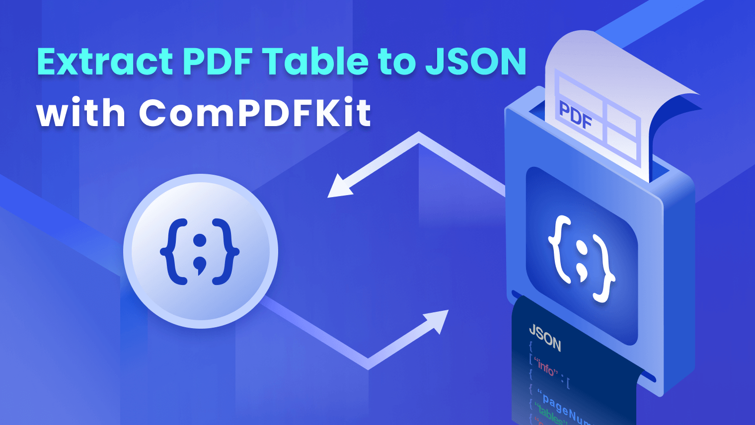 extract-pdf-table-to-json