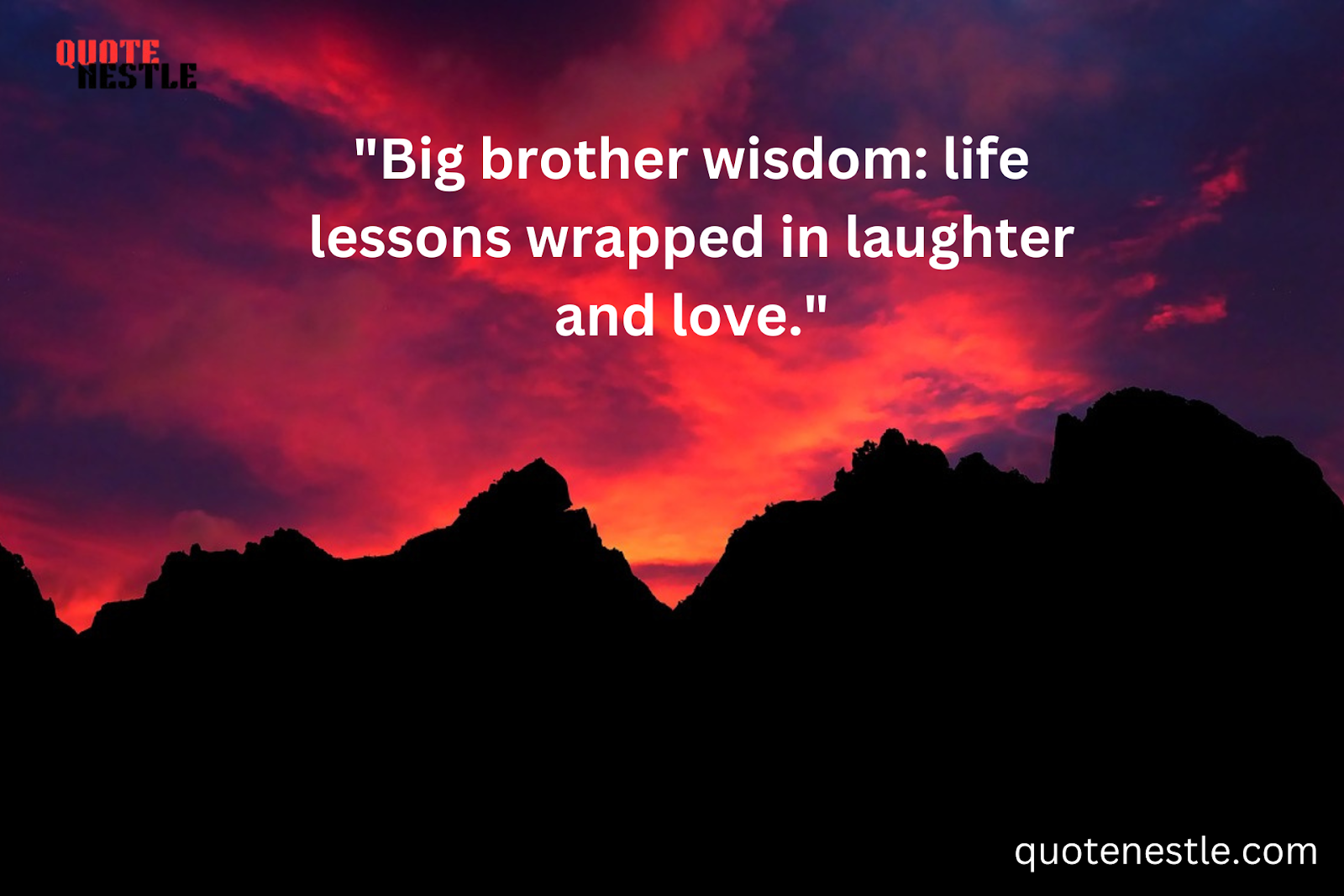 Big Brother Quotes 