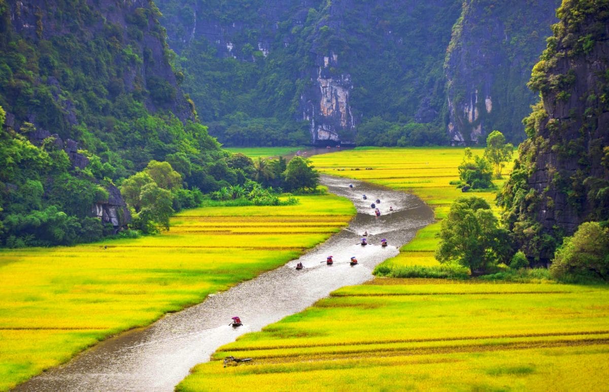 50-1654582099-2338-1655449878-scaled 12–DAY CHARMING VIETNAM FAMILY TOUR