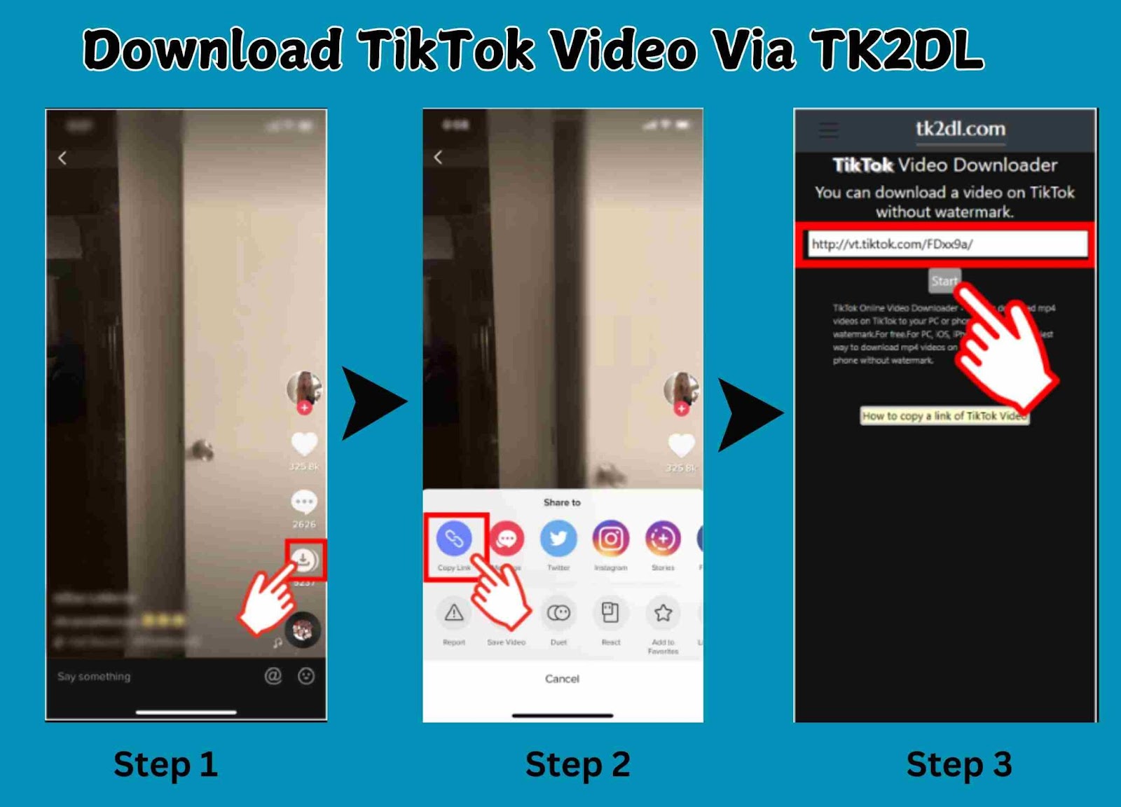 How to Download TikTok Videos via TK2DL