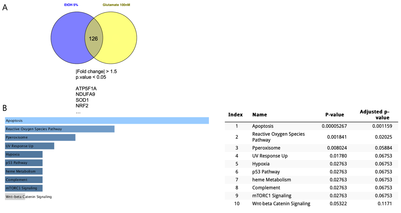 A screenshot of a computer

AI-generated content may be incorrect.