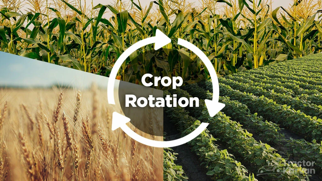 Crop Rotation