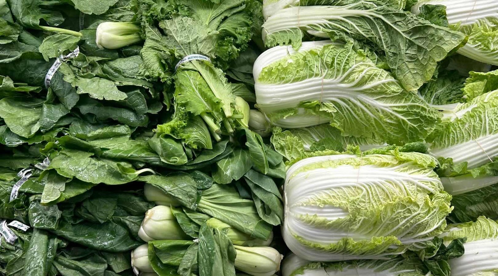 Des légumes verts feuillus frais, dont du bok choy et de la laitue, sont disposés sur un étalage de marché ou dans une épicerie.