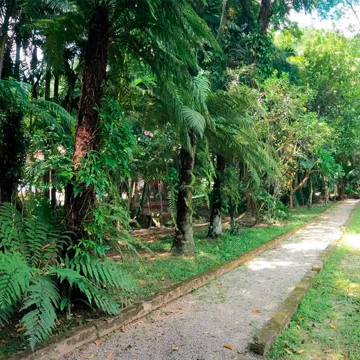 Imagem ampla de Parque Ecológico Municipal de Amparo