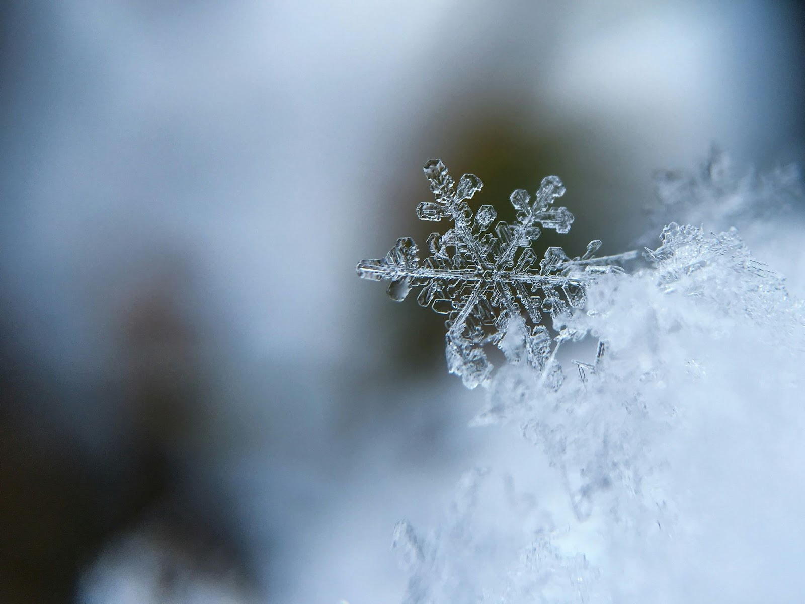 an image of a snowflake