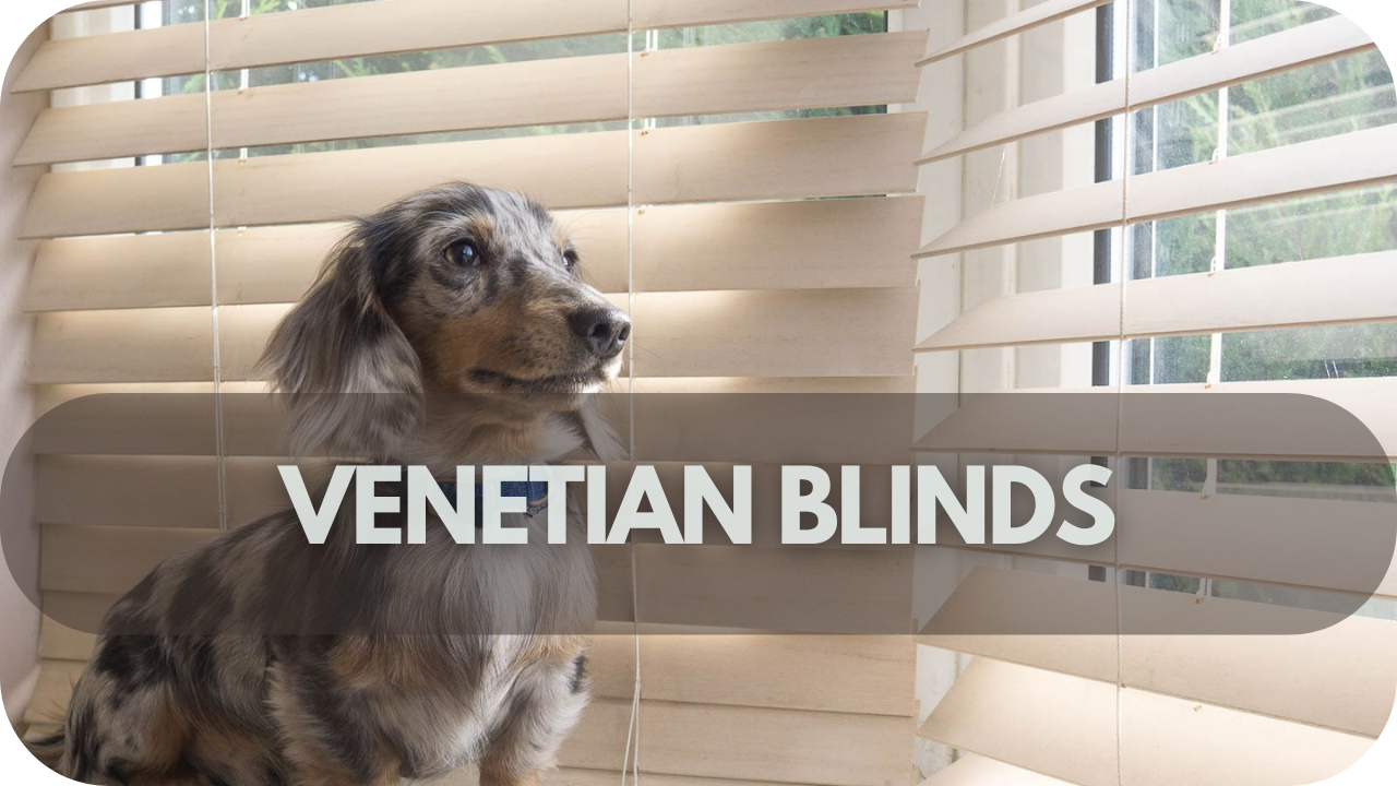 Durable Venetian blinds that withstand pet wear and tear