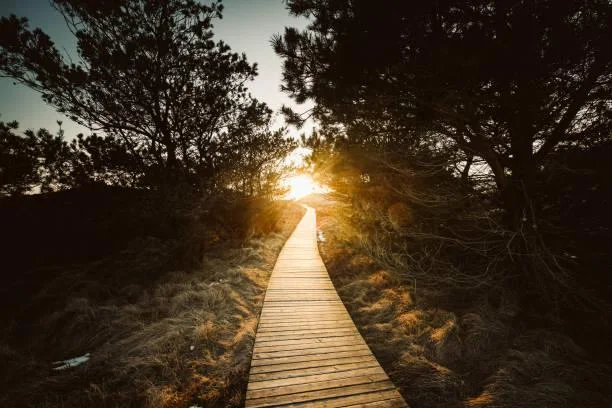 10 Natural Wonders That Don’t Look Real, surreal landscapes, unreal nature, nature, forest, landscape, fantasy earth, mind-blowing scenes