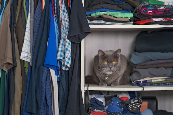 Napping on Your Clothes 