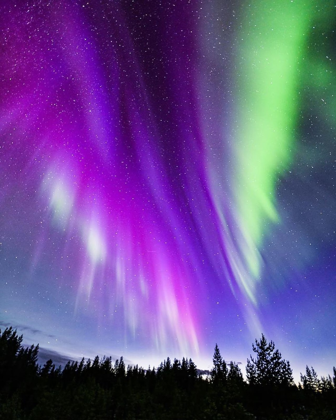 Northern Lights (Aurora Borealis)
