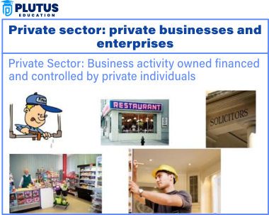 Private Sector Examples