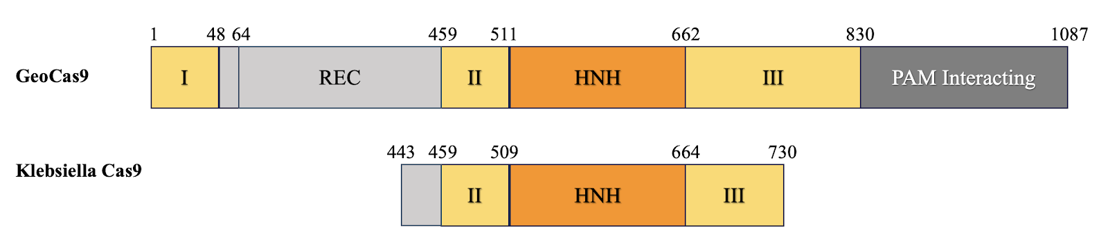 A table of numbers and symbols

Description automatically generated with medium confidence