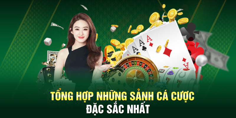 Tổng hợp những sảnh cá cược đặc sắc nhất