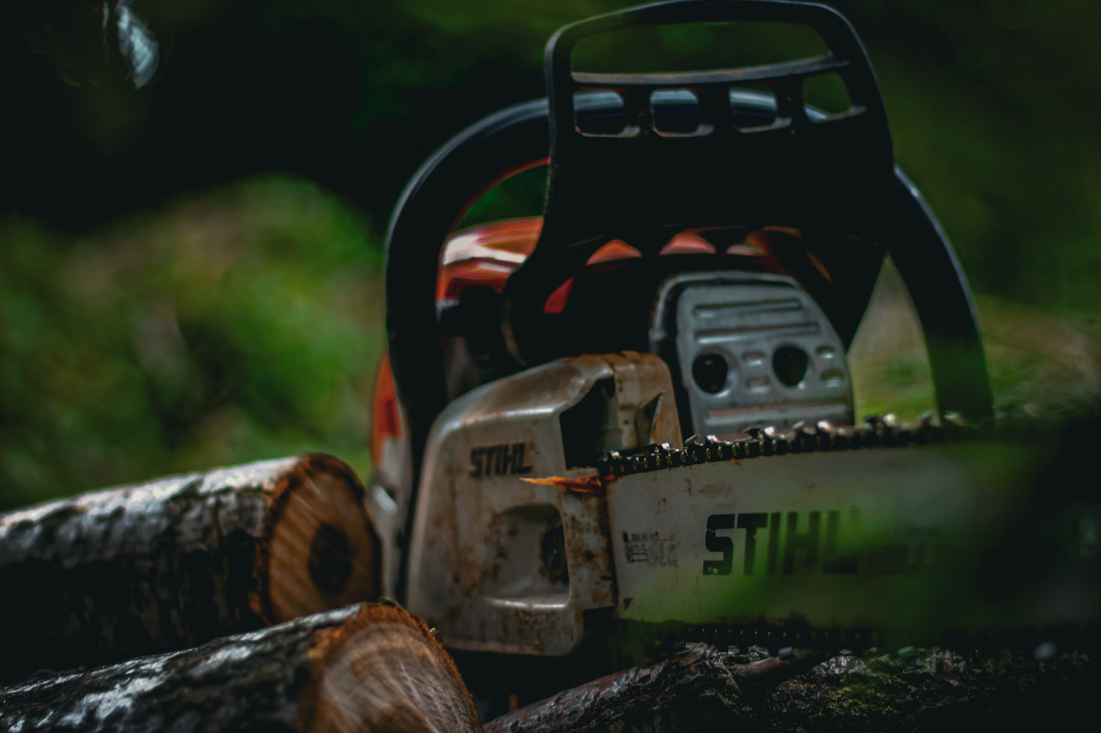 This image shows a chainsaw set down beside logs. 