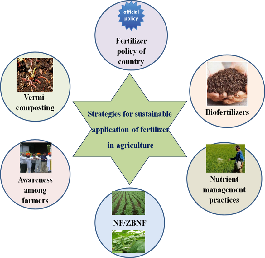 Best Practices For Sustainable Use Of Fertilizers