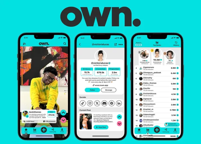 Overview of the Own App
