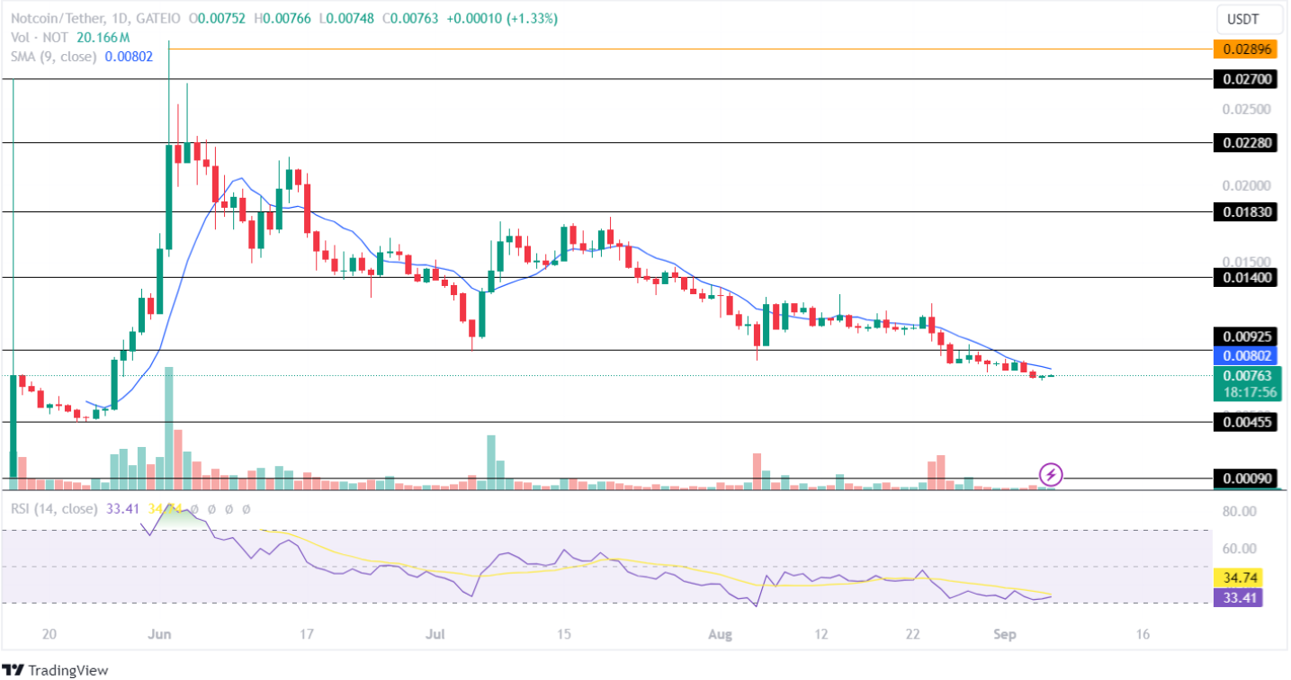 Notcoin Price Analysis September 2024